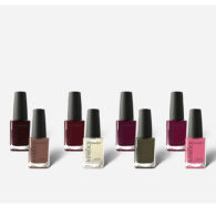 Curious Collection by Kinetics